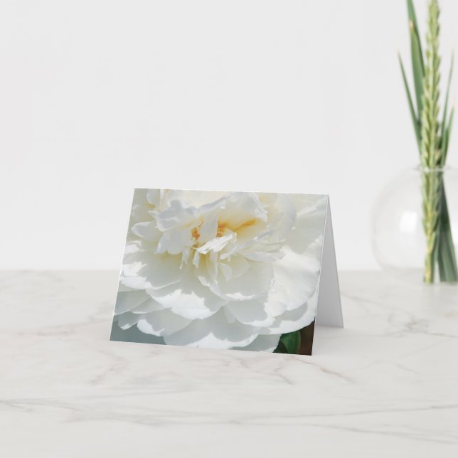 Floral White Rose Note Cards (Front)