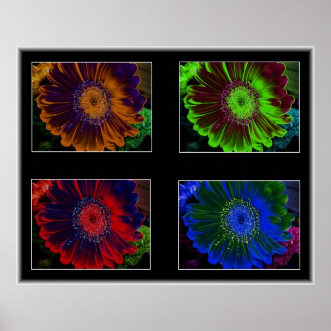 Floral Windows Collage Poster (Front)