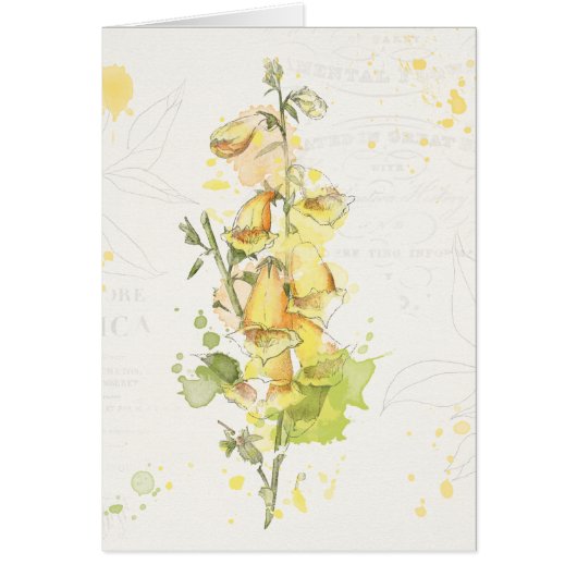 Floral Yellow Splash Cards (Front)