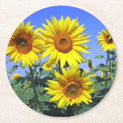 Floral Yellow Sunflower Flower Blue Wedding Party Round Paper Coaster