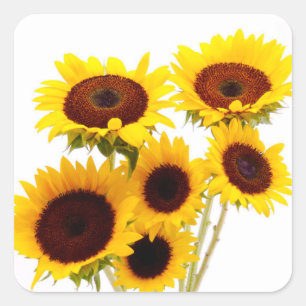 Floral Yellow Sunflower Wedding Flowers Party Square Sticker