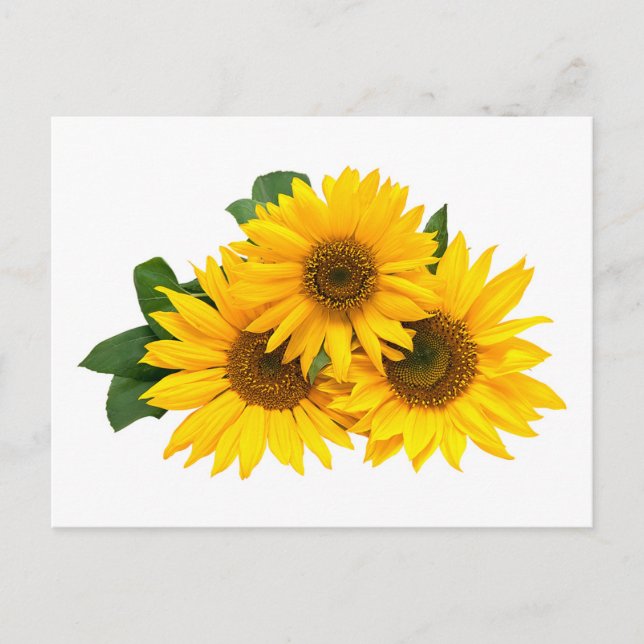 Floral Yellow Sunflowers Flower - Hello, Love Postcard (Front)