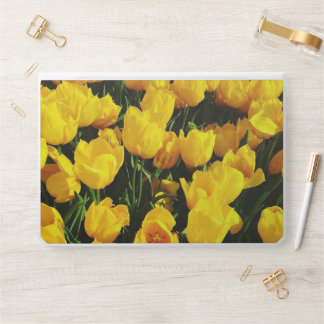 Floral Yellow Tulip HP Laptop Skin