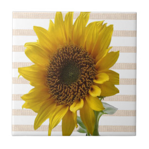 FloralClassic Sunflower Ceramic Tile Beige Stripe