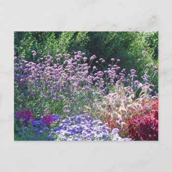 Florals In The English Garden's Postcard by Koobear at Zazzle