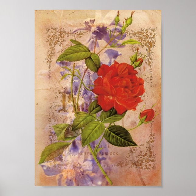 Florals Vintage Digital Collage Poster (Front)