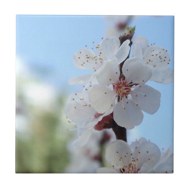 Floreal Ceramic Tile (Front)