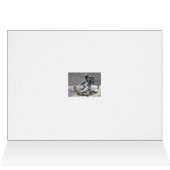 Florence Italy Bird Bath Blank Card (Inside Horizontal (Top))