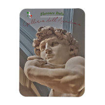 Florence Italy - David