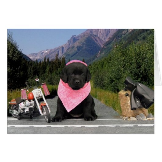 Florence week 5 (Front Horizontal)