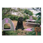 Florence week 6 (Front Horizontal)