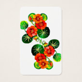 Flores do Brasil capuchinha collection, (Front)