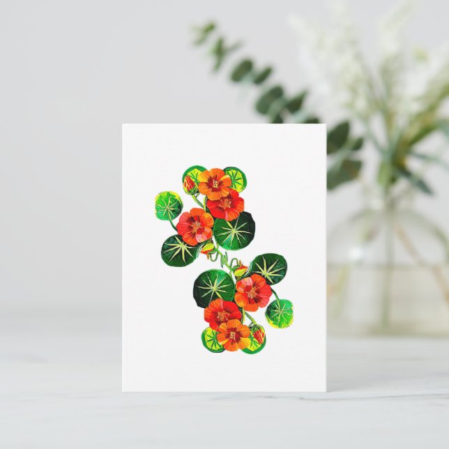 Flores do Brasil capuchinha collection, Postcard (Standing Front)