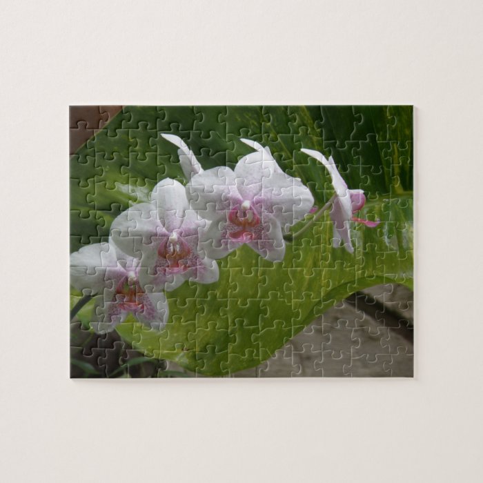 Flores Tropicales  Orquideas Puzzles