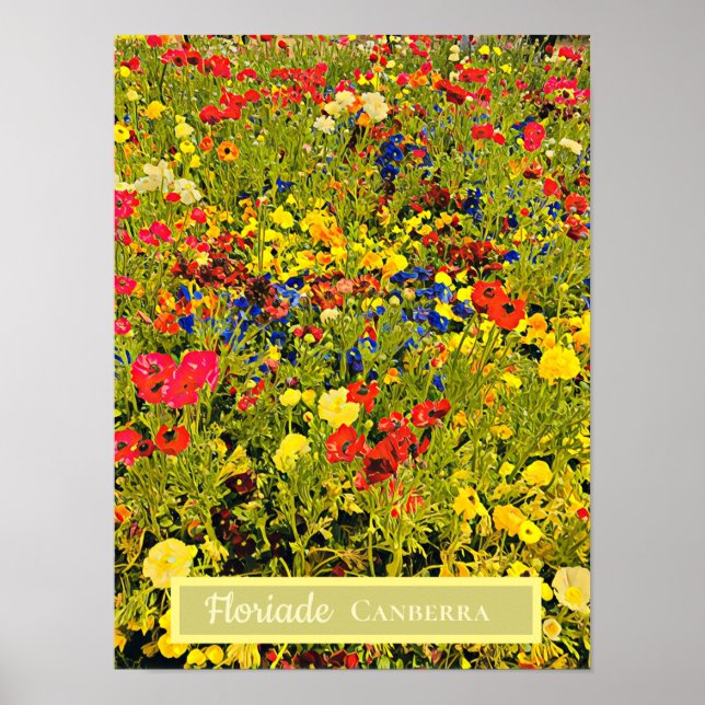 Floriade Canberra flower festival travel print (Front)