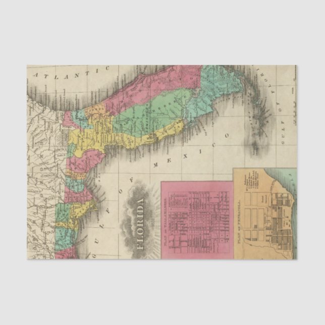 Florida 10 2 tissue paper (Front)