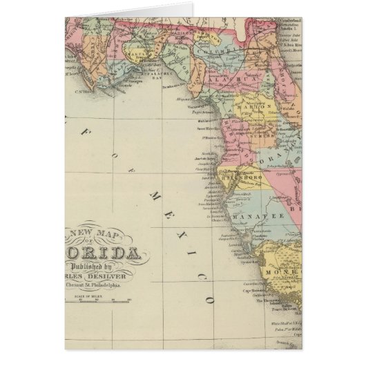 Florida 13 cards (Front)