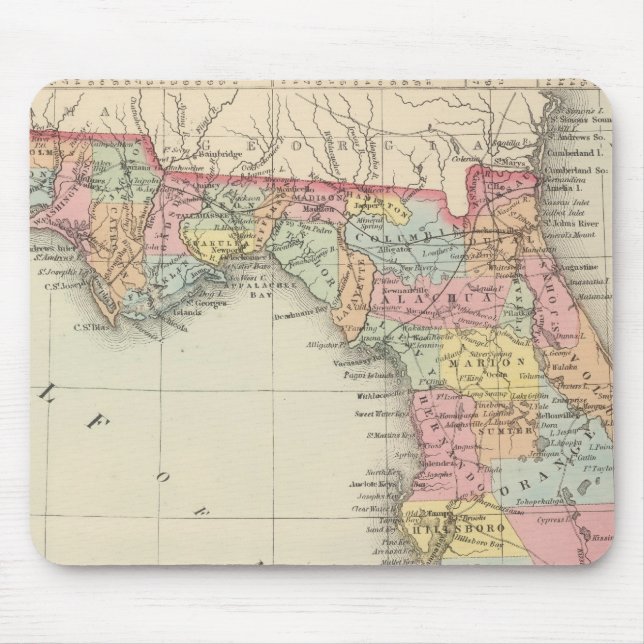 Florida 13 mouse pad (Front)