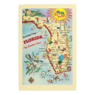 Florida 20x30 Metal Print