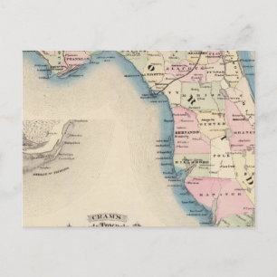 Florida 3 postcard