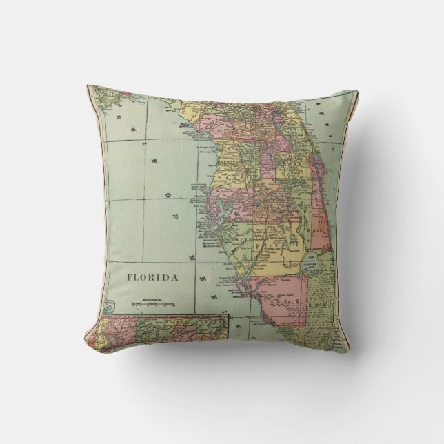 Florida 4 throw pillow (Front)