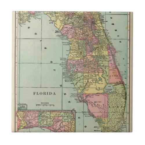 Florida 4 tile