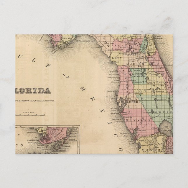 Florida 6 postcard (Front)