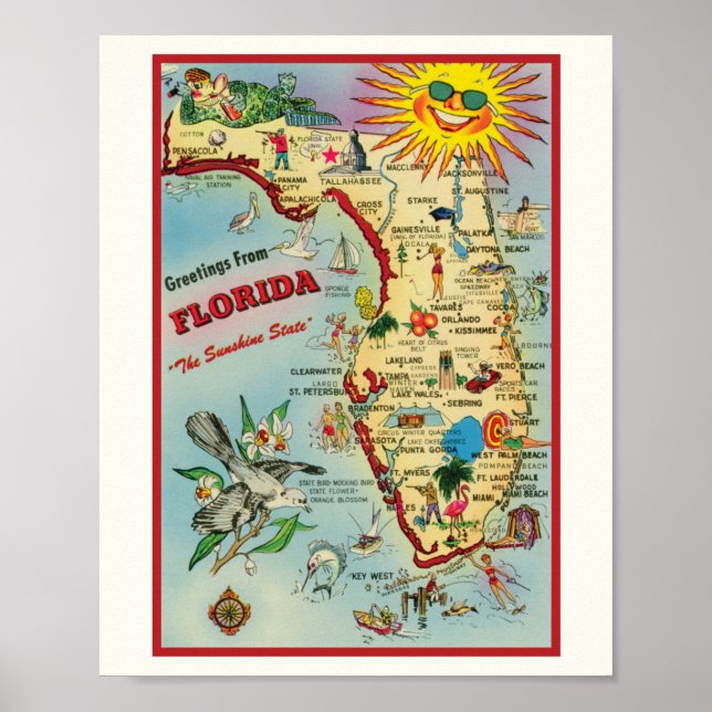 Florida 8x10 with Border Poster Print (Front)