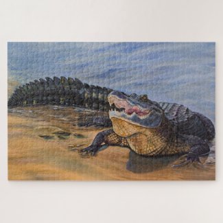 Florida Alligator. Face to face