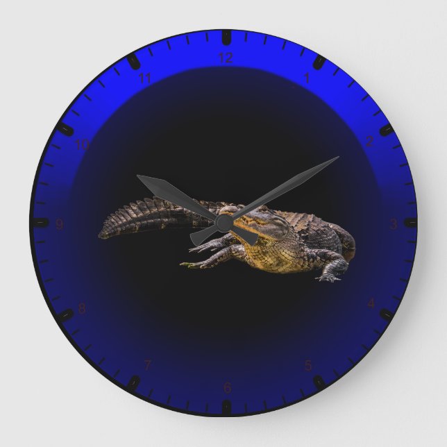 Florida alligator large clock (Front)