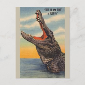 Florida Alligator Post Card by RetroMagicShop at Zazzle