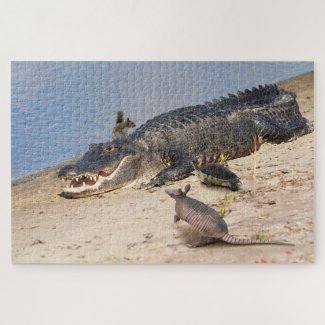 Florida Alligator with animals. Alligator Buffet