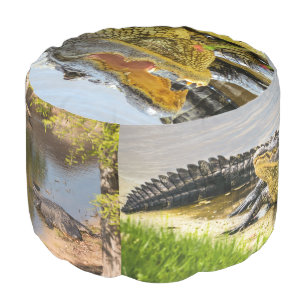 Florida Alligators closeup photographs Pouf