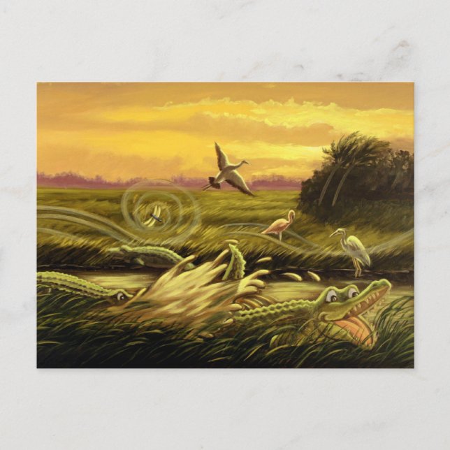 Florida Alligators Postcard (Front)