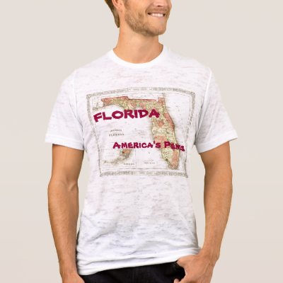 florida_americas_penis_tshirt-p235310508349526160qsfl_400.jpg