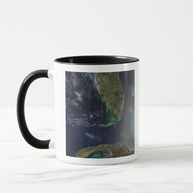 Florida and Cuba Mug (Left)