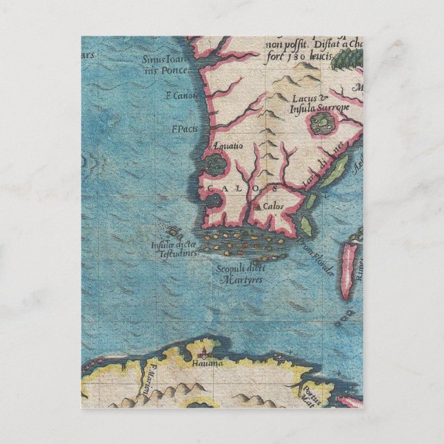 Florida and Cuba Postcard (Front)