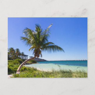 Florida - Bahia Honda postcard