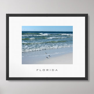 Florida Beach Birds Travel Poster