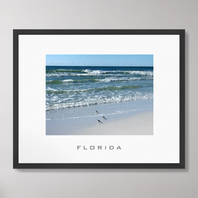 Florida Beach Birds Travel Poster (Framed Front)