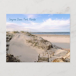 Florida Beach Dunes Park Ponce Inlet Postcard
