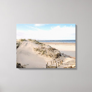 Florida Beach Dunes Ponce Inlet  Canvas Print