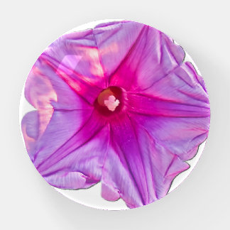 Florida Beach Flower Vacation Paperweight