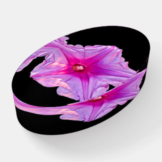 Florida Beach Flower Vacation Paperweight