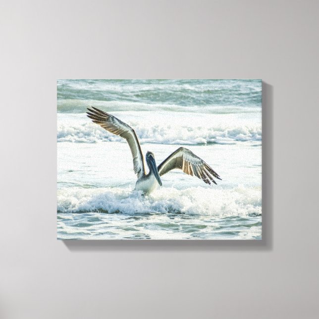 Florida Beach Pelican Canvas Print (Front)