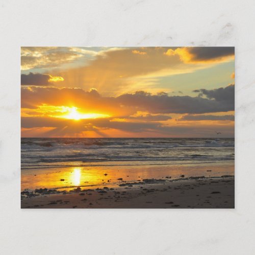 Florida Beach Scenic Sunrise Mug Postcard