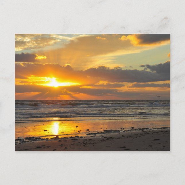 Florida Beach Scenic Sunrise Mug Postcard (Front)