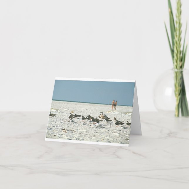 Florida Beach with seagulls fine art photography  Thank You Card (Front)