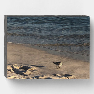 Florida Beach Wooden Box Sign