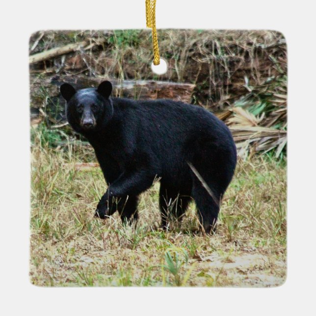 Florida Black Bear Ceramic Ornament (Front)